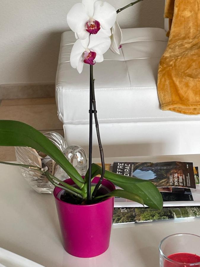Le Lotois Les Ondines Apartment ซุยแยค ภายนอก รูปภาพ